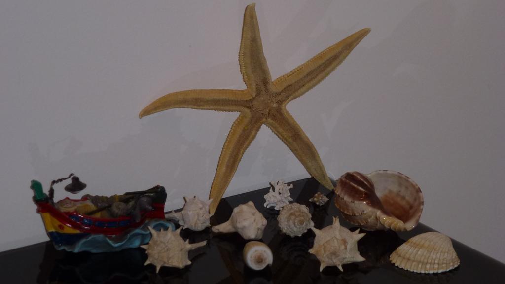 Sea Star Apartment Cefalù Cameră foto